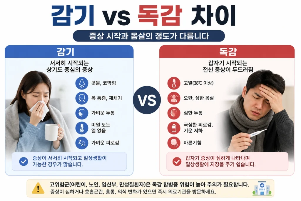 콧물과 목 불편이 서서히 시작되는 감기와 고열과 심한 몸살이 갑자기 나타나는 독감의 차이를 비교한 이미지