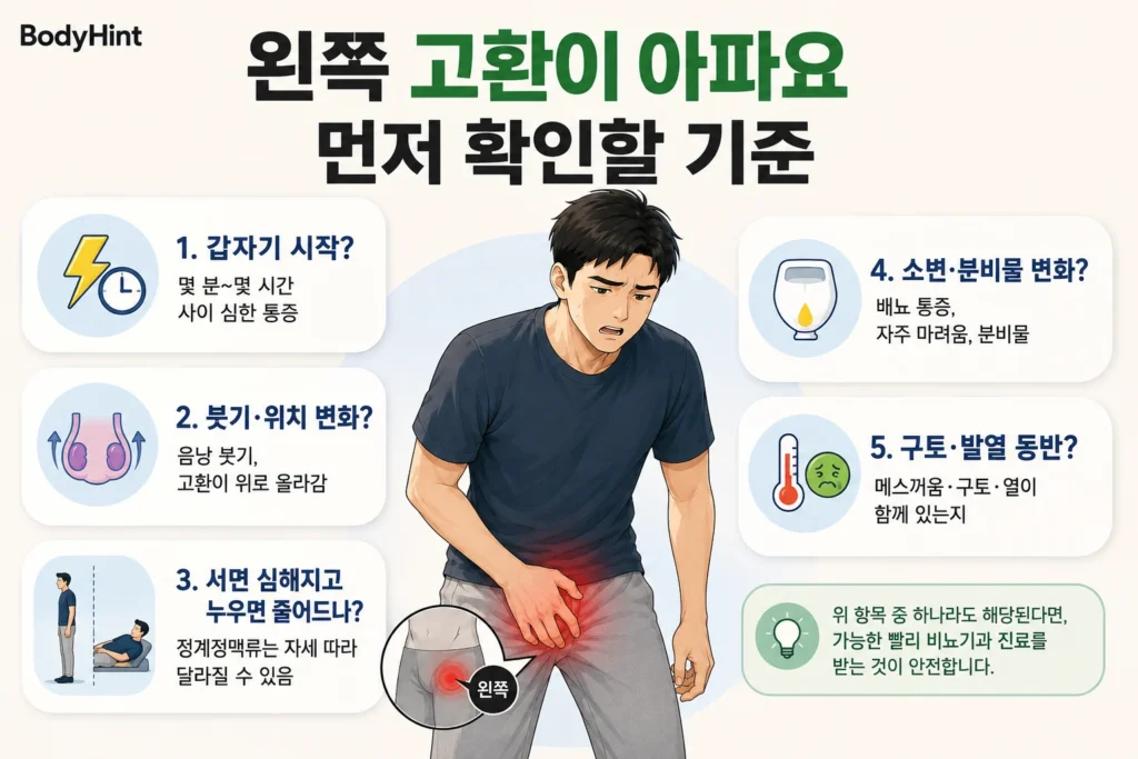 왼쪽 고환 통증이 갑자기 시작했는지, 붓기와 위치 변화가 있는지, 서 있을 때 심해지는지, 소변·분비물 변화와 구토·발열이 동반되는지를 대표 남성 캐릭터와 함께 보여주는 BodyHint 인포그래픽