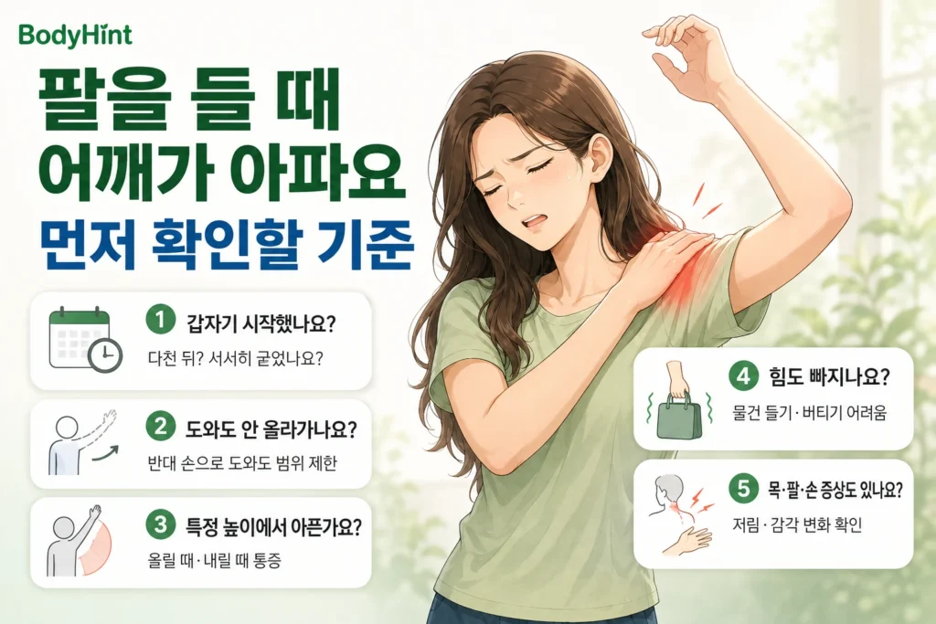팔을 들 때 어깨 통증이 갑자기 시작했는지, 도움을 받아도 움직임이 제한되는지, 특정 높이에서 아픈지, 힘 빠짐과 목·팔·손 증상이 있는지를 대표 여성 캐릭터와 함께 보여주는 BodyHint 인포그래픽