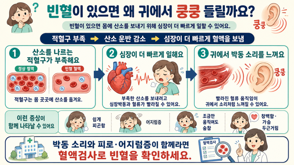 적혈구가 부족해지면 심장이 산소를 전달하려고 더 빠르게 혈액을 보내면서 귀에서 박동 소리가 들릴 수 있는 과정을 쉽게 설명한 가로형 일러스트