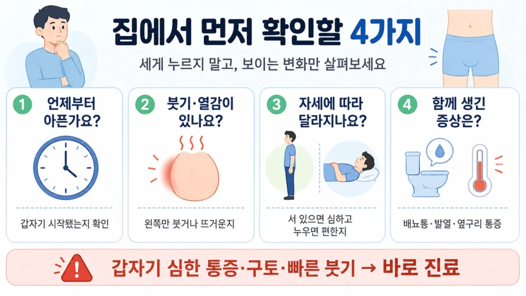 통증 시작 속도·붓기·자세에 따른 변화·배뇨 증상을 간단히 확인하는 가로형 이미지