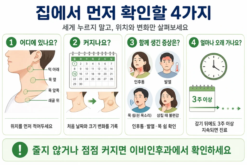 목 몽우리가 만져질 때 위치, 크기 변화, 함께 생긴 증상, 3주 이상 지속되는지를 확인하는 방법을 정리한 이미지