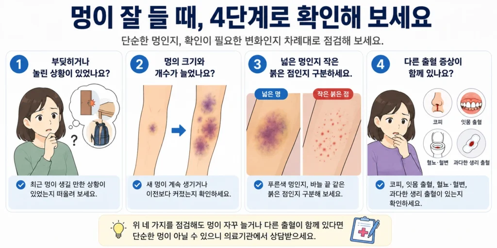 멍이 생길 만한 충격이 있었는지, 멍의 크기와 개수가 늘었는지, 넓은 멍과 작은 붉은 점 중 어떤 모습인지, 코피·잇몸 출혈 등 다른 출혈이 함께 있는지를 네 단계로 확인하는 이미지 