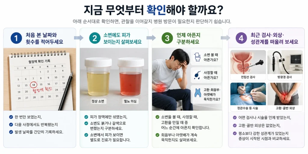 혈정액이 처음 나타난 날짜와 반복 횟수, 소변의 피, 통증이 생기는 순간, 최근 검사·시술·외상 여부를 순서대로 확인하는 4단계 이미지