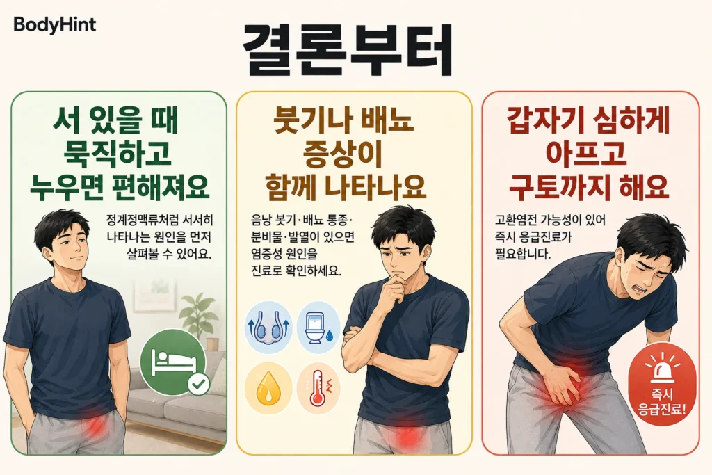 왼쪽 고환 통증의 결론을 초록·노랑·빨강 세 가지 상황으로 나누어, 서 있을 때 묵직하고 누우면 편해지는 경우부터 붓기·배뇨 증상과 갑작스러운 심한 통증·구토까지 대표 남성 캐릭터로 보여주는 BodyHint 인포그래픽
