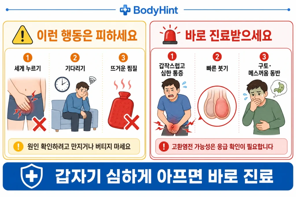왼쪽 고환 통증이 있을 때 세게 누르기, 기다리기, 뜨거운 찜질은 피하고 갑작스러운 심한 통증과 빠른 붓기, 구토나 메스꺼움이 있으면 바로 진료받도록 안내한 이미지