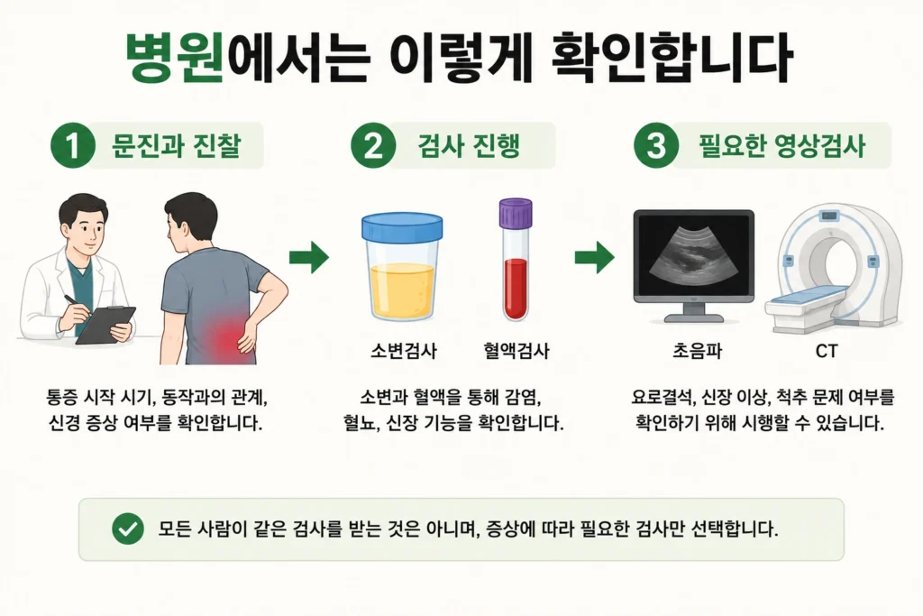 허리 한쪽 통증을 병원에서 문진과 진찰, 소변·혈액검사, 필요한 초음파나 CT 검사 순서로 확인하는 간단한 3단계 이미지
