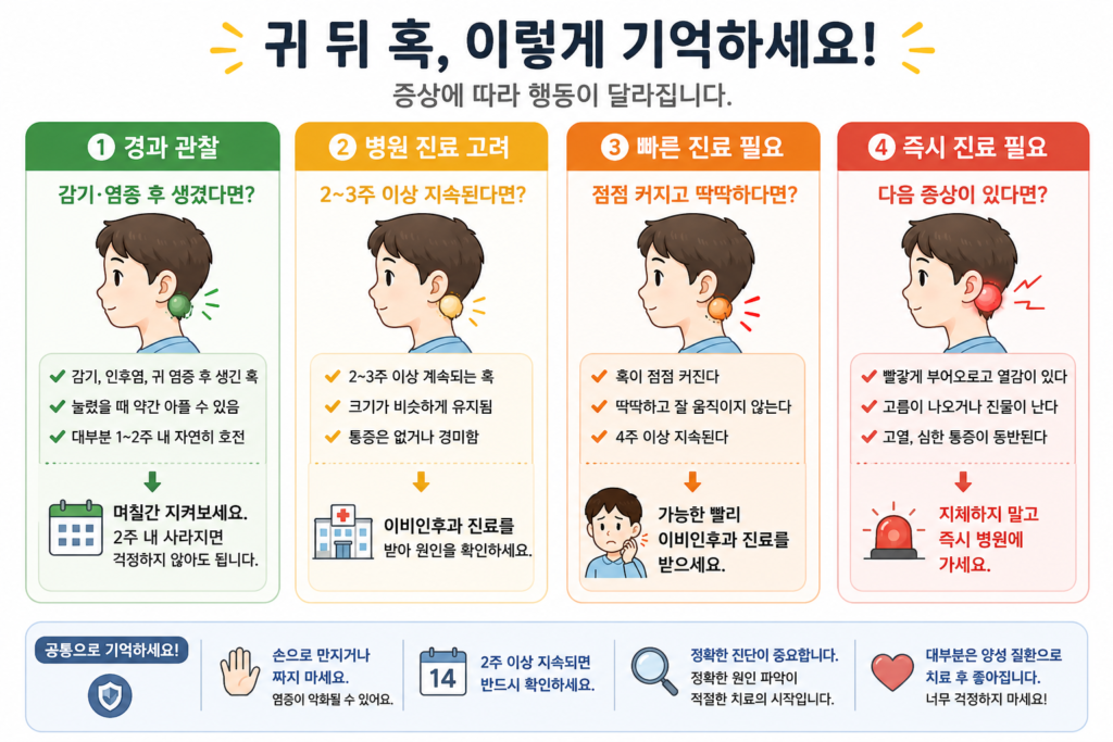귀 뒤 혹이 있을 때 경과 관찰과 병원 방문이 필요한 경우를 한눈에 정리한 인포그래픽