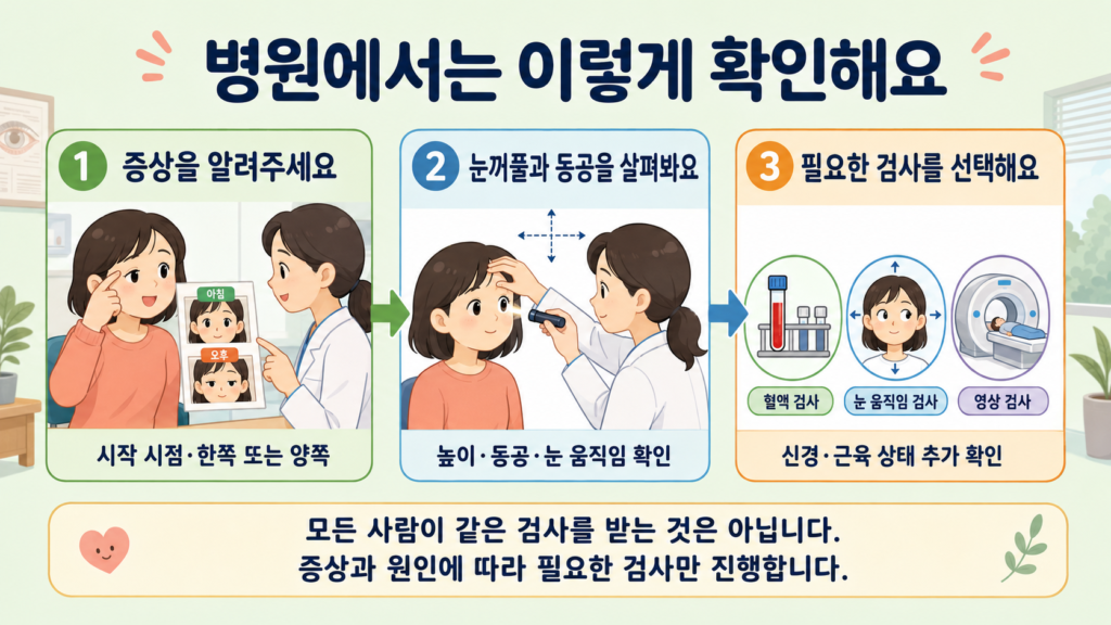 증상과 시작 시점 전달, 눈꺼풀 높이·동공·눈 움직임 확인, 필요한 경우 신경과 근육 검사를 선택하는 과정을 정리한 가로형 체크리스트