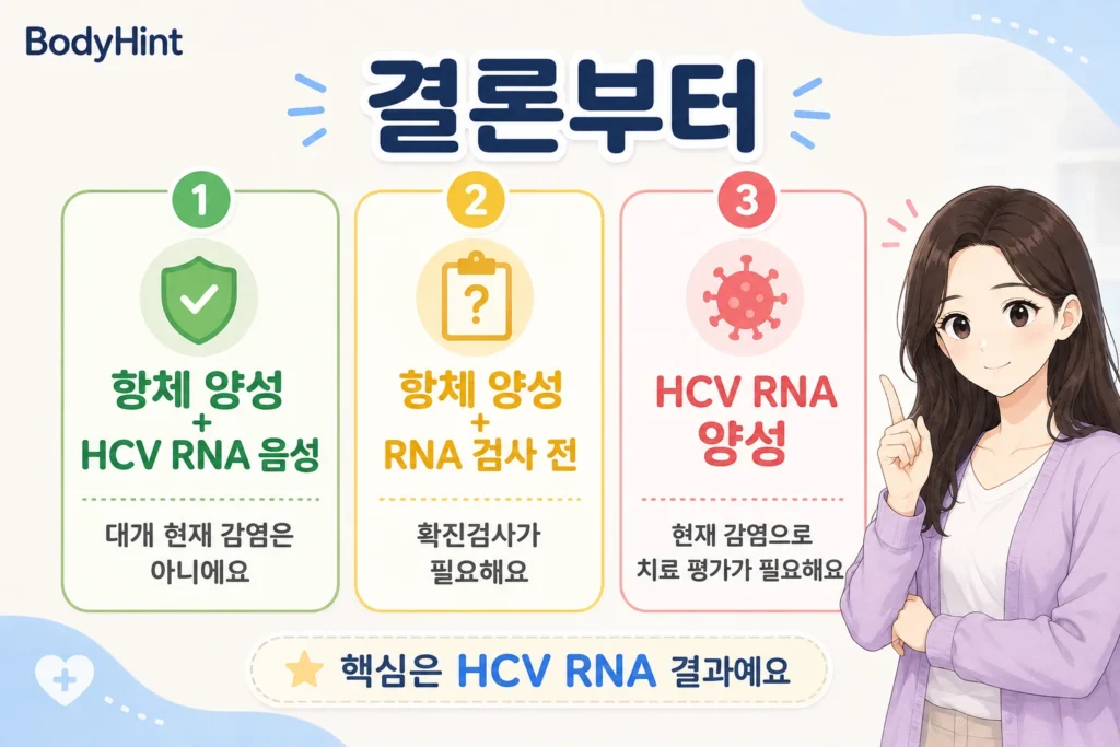 C형간염 항체 양성과 HCV RNA 음성, RNA 검사 전, HCV RNA 양성 상태를 구분해 현재 감염 여부와 다음 조치를 안내한 이미지