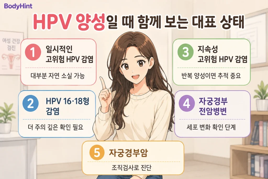 HPV 양성일 때 함께 확인하는 일시적 고위험 HPV 감염, HPV 16·18형 감염, 지속성 고위험 HPV 감염, 자궁경부 전암병변, 자궁경부암