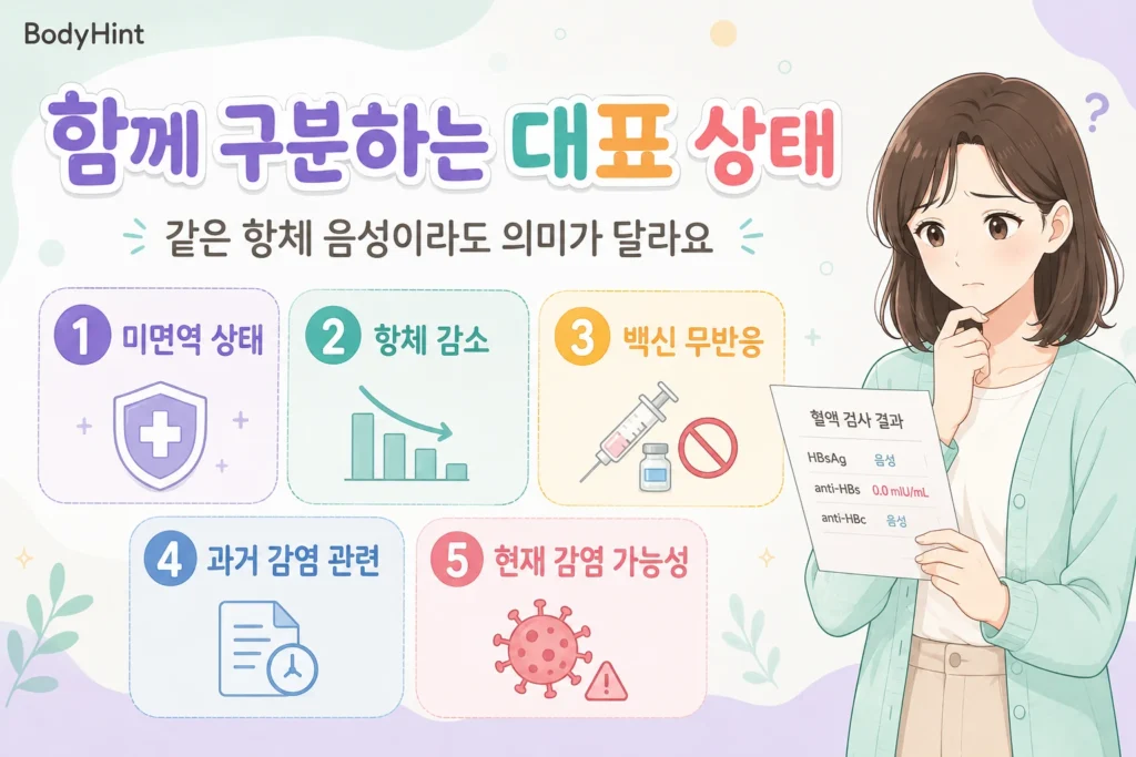 B형간염 항체 음성일 때 함께 구분하는 미면역 상태, 항체 감소, 백신 무반응, 과거 감염 관련 상태, 현재 감염 가능성
