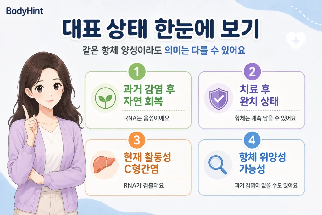C형간염 항체 양성일 때 함께 구분하는 과거 감염 후 자연 회복, 치료 후 완치, 현재 활동성 C형간염, 항체 위양성 가능성