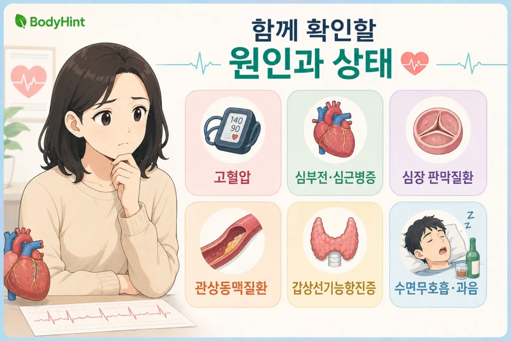 심방세동과 함께 확인하는 고혈압, 심부전·심근병증, 심장 판막질환, 관상동맥질환, 갑상선기능항진증, 수면무호흡과 과음