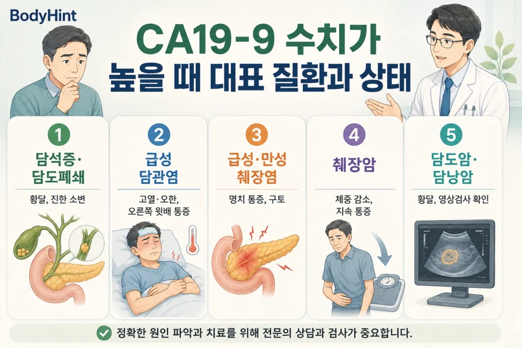CA19-9 수치가 높을 때 함께 확인하는 담석증·담도폐쇄, 급성 담관염, 급성·만성 췌장염, 췌장암, 담도암·담낭암