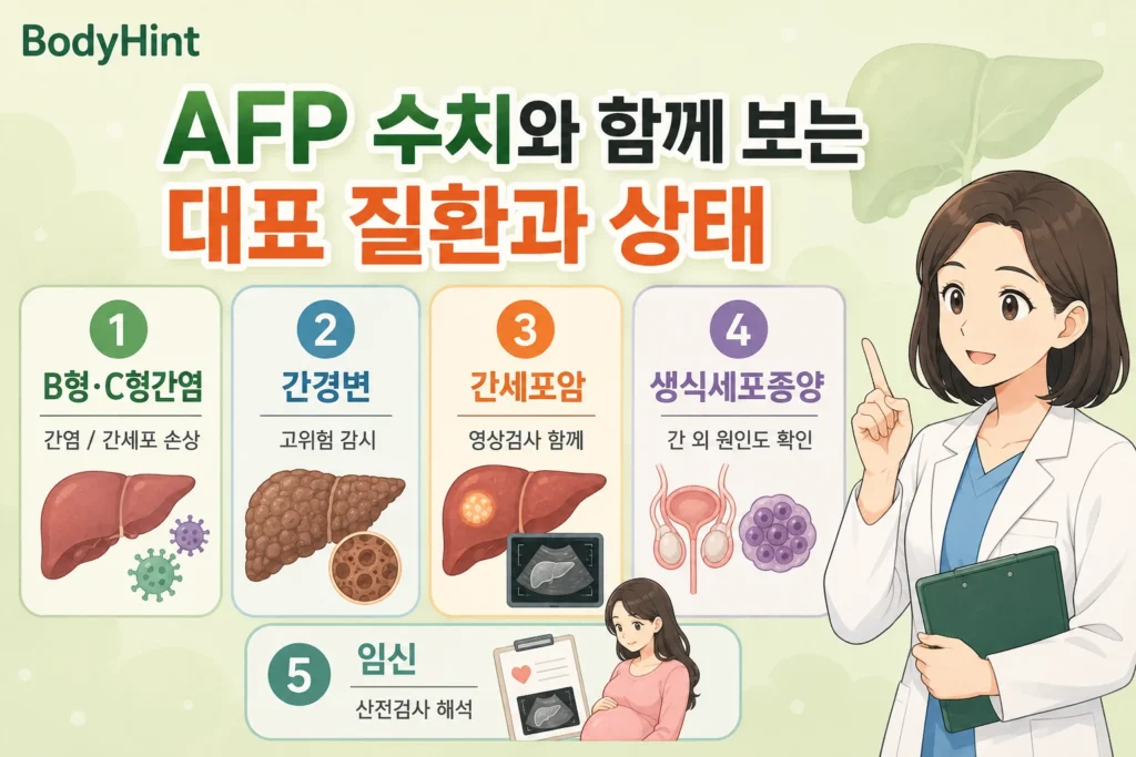 AFP 수치가 높을 때 함께 확인하는 B형·C형간염, 간경변, 간세포암, 생식세포종양, 임신