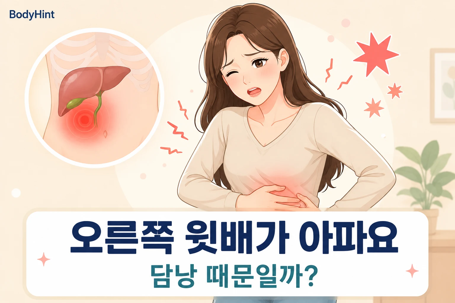 오른쪽 윗배 통증을 느끼는 여성과 담낭 위치의 통증을 강조한 확대 그림을 함께 보여주는 대표이미지