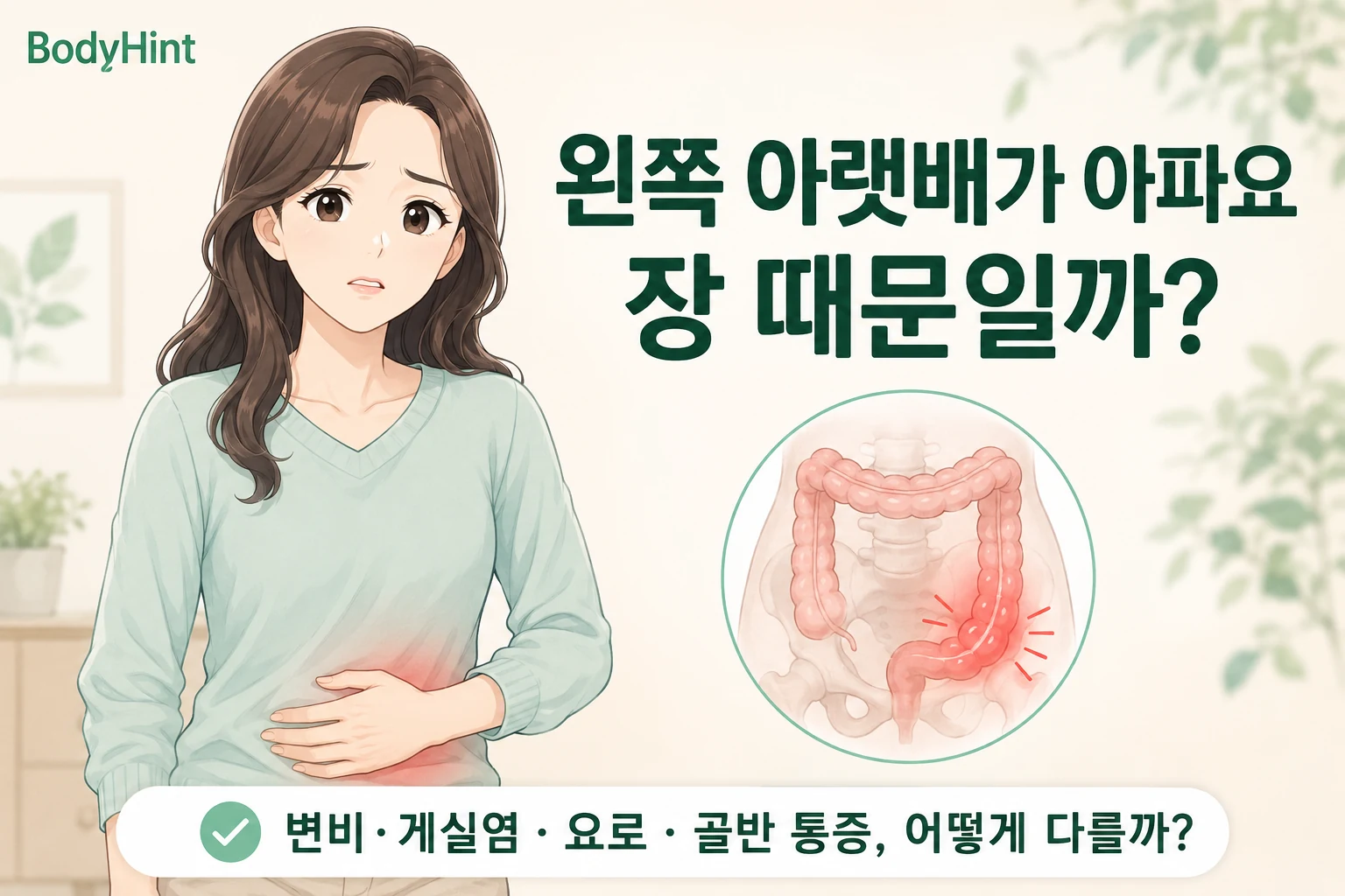 왼쪽 아랫배 통증을 느끼는 여성과 왼쪽 대장 부위를 강조한 확대 그림을 함께 보여주는 대표이미지