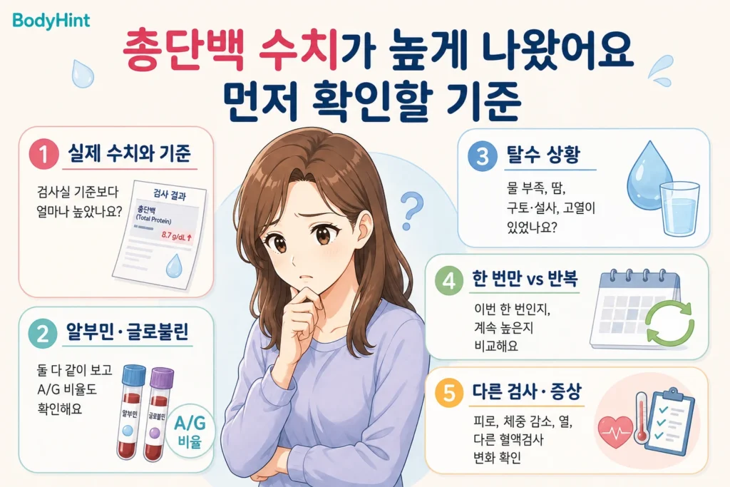 총단백 수치가 높게 나왔을 때 실제 수치와 기준, 알부민·글로불린, 탈수 상황, 반복 여부, 다른 검사와 증상을 확인하는 기준을 정리한 안내 이미지