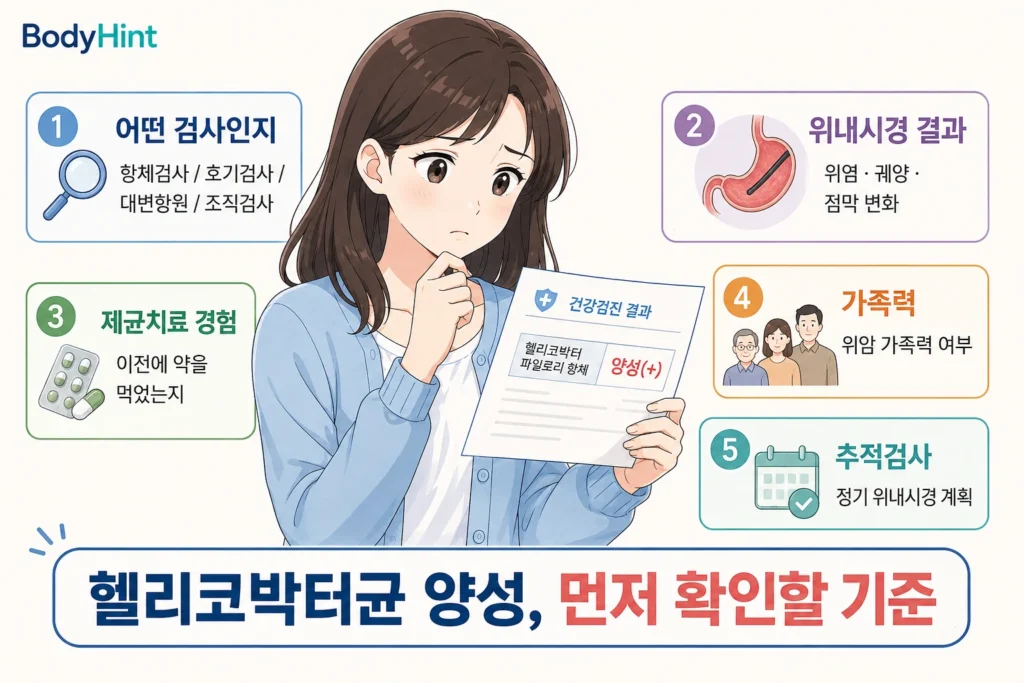 헬리코박터균 양성일 때 검사 종류, 위내시경 결과, 이전 제균치료 경험, 위암 가족력, 추적검사 계획을 확인하는 일본애니풍 BodyHint 인포그래픽