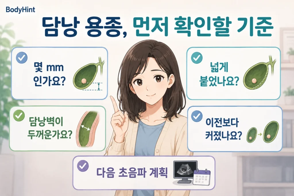 담낭 용종이 발견됐을 때 용종 크기, 담낭벽에 넓게 붙은 모양, 담낭벽 두꺼워짐, 이전 검사보다 성장했는지, 다음 초음파 계획을 확인하는 BodyHint 인포그래픽