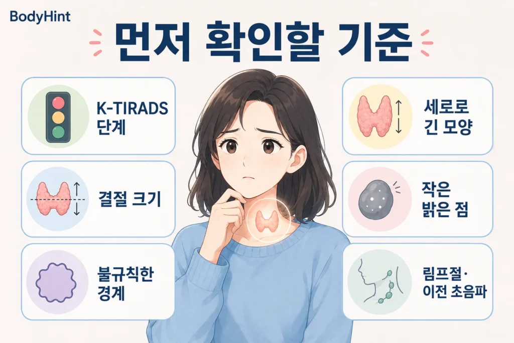 갑상선 결절이 발견됐을 때 K-TIRADS 단계, 결절 크기, 세로로 긴 모양, 불규칙한 경계, 작은 밝은 점, 림프절과 이전 초음파를 확인하는 BodyHint 인포그래픽