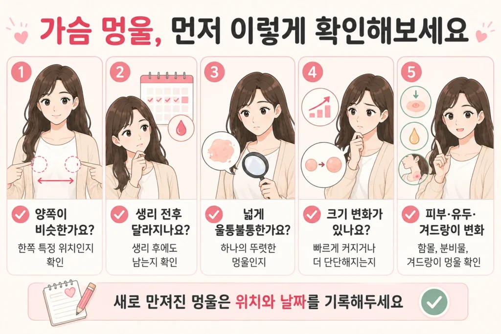 가슴 멍울이 양쪽에서 비슷한지, 생리 전후로 달라지는지, 한쪽의 뚜렷한 멍울인지, 크기가 변하는지, 피부·유두·겨드랑이 변화가 동반되는지를 대표 여성 캐릭터로 보여주는 확인 이미지