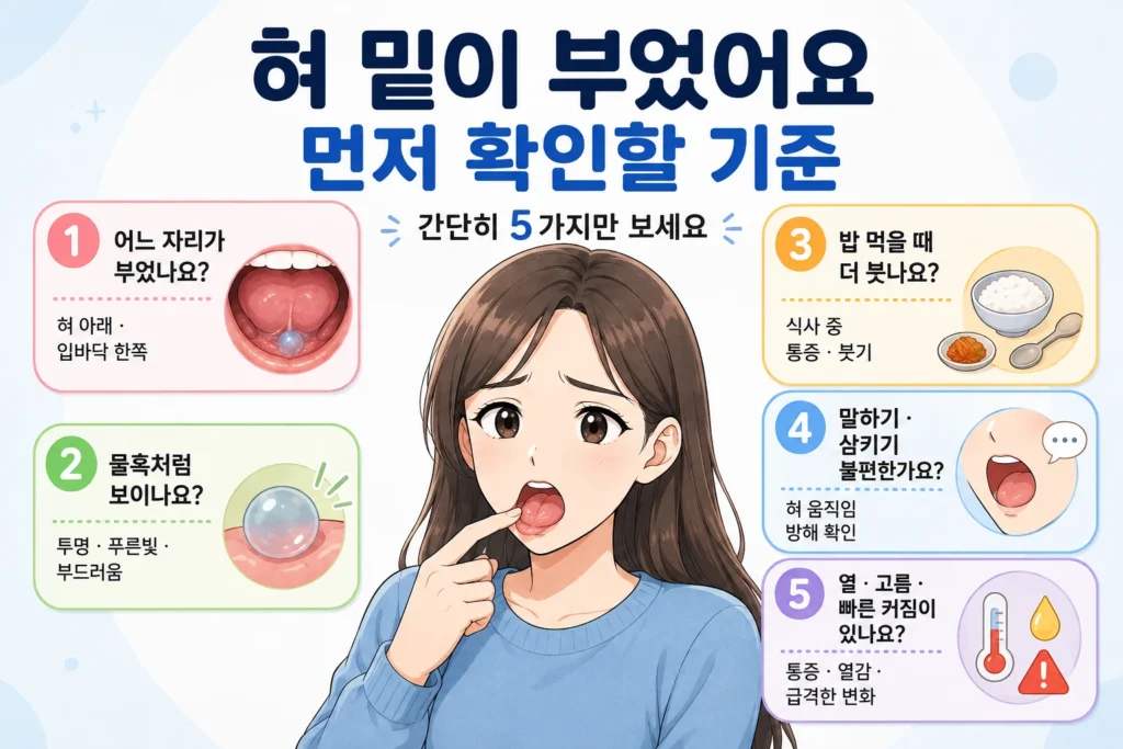 혀 밑이 부었을 때 위치, 물혹 모양, 식사 중 붓기, 말하기·삼키기 불편, 열·고름·빠른 크기 변화를 대표캐릭터와 함께 확인하는 5가지 기준