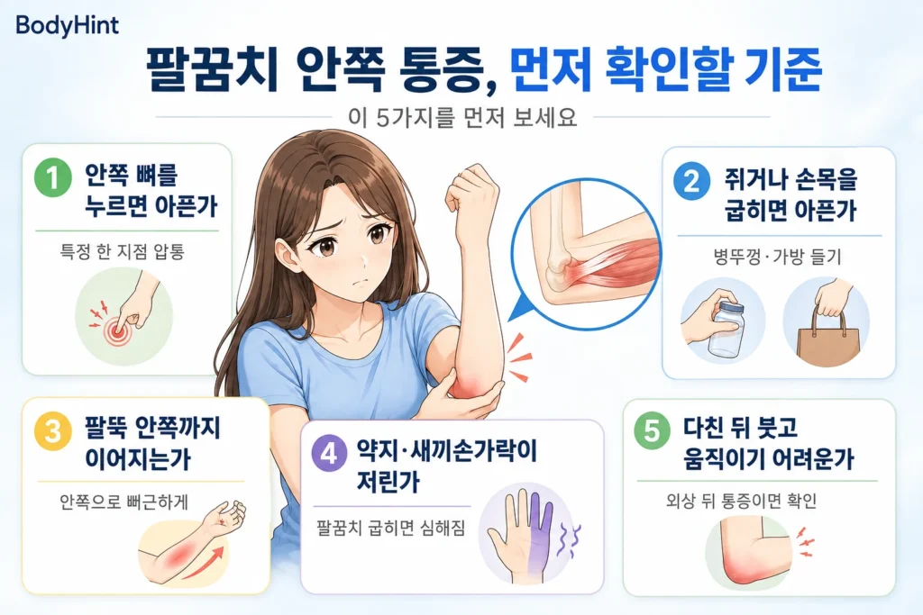 팔꿈치 안쪽 통증이 있을 때 안쪽 뼈 압통, 쥐기·손목 굽힘 통증, 팔뚝 안쪽으로 이어지는 통증, 약지·새끼손가락 저림, 외상 뒤 붓기와 움직임 제한을 확인하는 5가지 기준을 일본풍 애니 여성 대표캐릭터와 함께 정리한 이미지