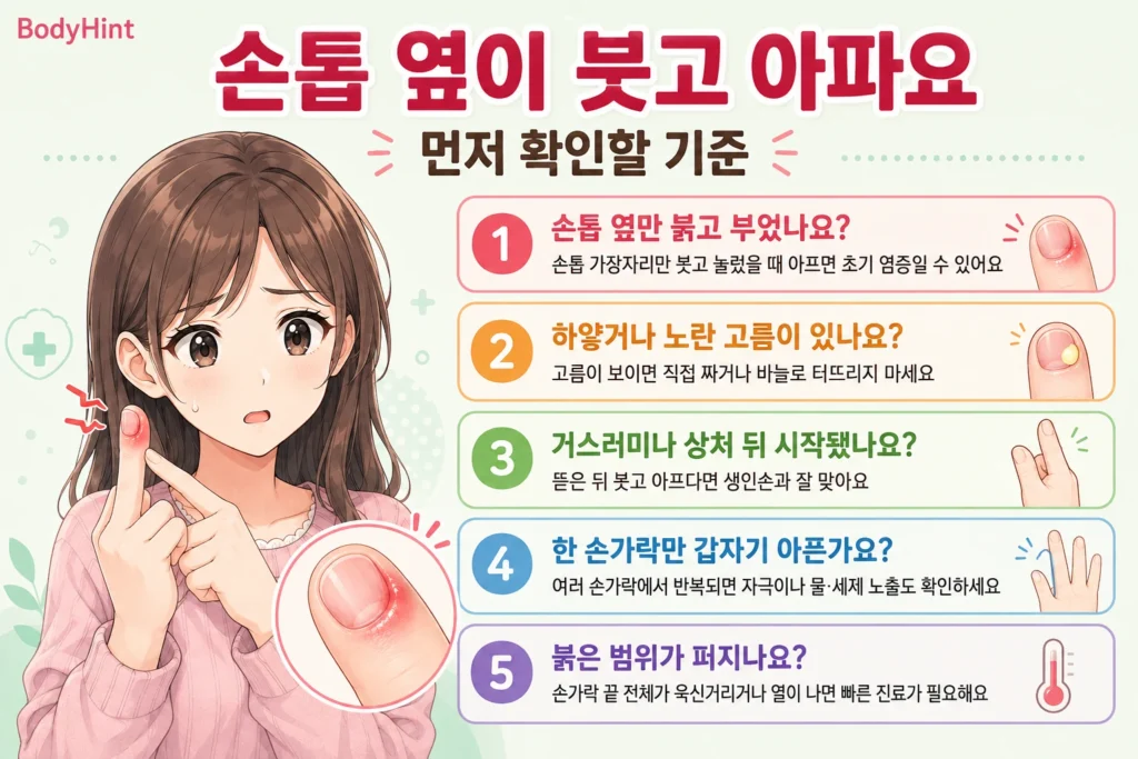 손톱 옆이 붓고 아플 때 붉어짐과 붓기, 고름 여부, 거스러미나 상처 뒤 시작 여부, 한 손가락 또는 여러 손가락에서 반복되는지, 붉은 범위가 퍼지는지를 확인하는 5가지 기준을 일본풍 애니 여성 대표캐릭터와 함께 정리한 이미지