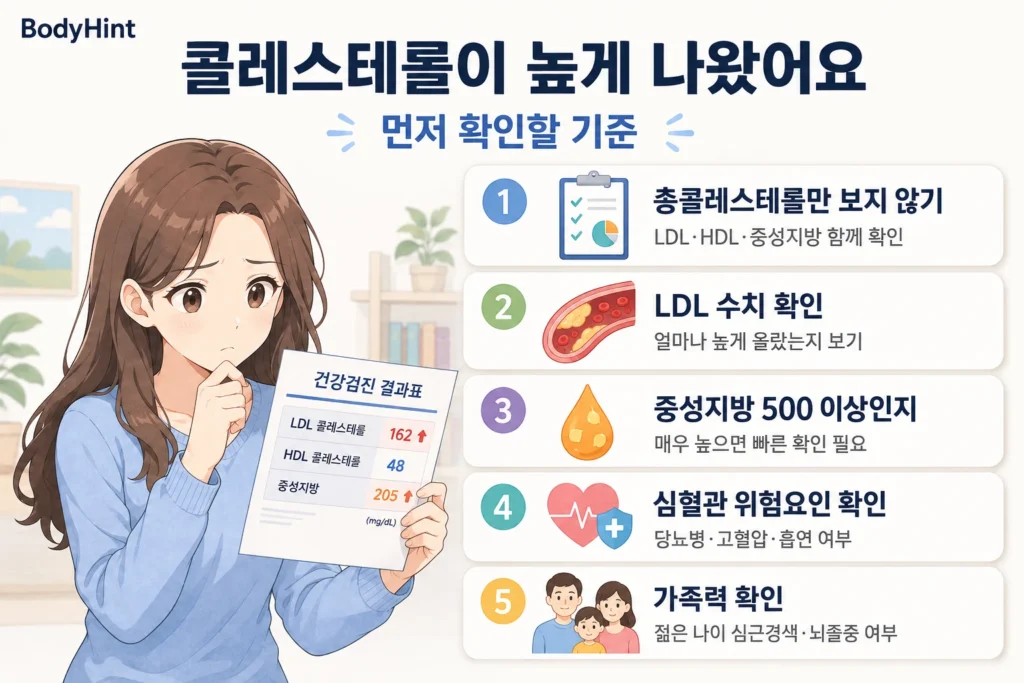 콜레스테롤이 높게 나왔을 때 총콜레스테롤만 보지 않고 LDL·HDL·중성지방을 함께 확인하고, LDL 수치·중성지방 500mg/dL 이상 여부·심혈관 위험요인·가족력을 확인하는 기준을 일본풍 애니 여성 대표캐릭터와 함께 정리한 이미지