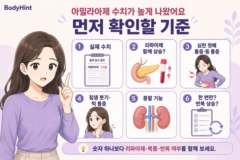 아밀라아제 수치가 높게 나왔을 때 실제 수치, 리파아제 동반 상승, 심한 윗배·등 통증, 침샘 붓기·턱 통증, 콩팥 기능, 반복 상승 여부를 확인하는 기준을 정리한 이미지