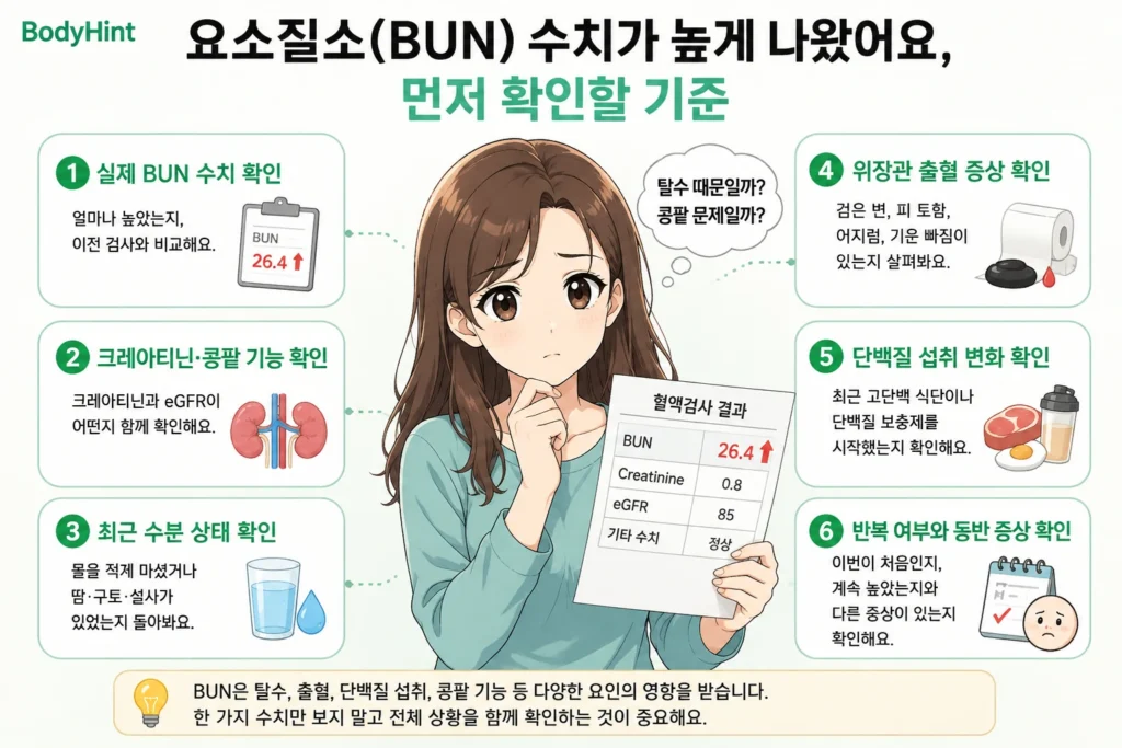 요소질소(BUN) 수치가 높게 나왔을 때 실제 수치, 크레아티닌·콩팥 기능, 최근 수분 상태, 위장관 출혈 증상, 단백질 섭취 변화, 반복 여부와 동반 증상을 확인하는 기준을 정리한 이미지
