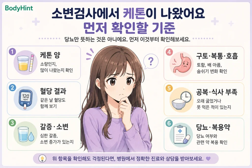 소변검사에서 케톤이 나왔을 때 케톤 양, 혈당 결과, 갈증과 소변 변화, 구토·복통·호흡 변화, 공복·식사 부족, 당뇨와 복용약을 확인하는 기준을 정리한 안내 이미지
