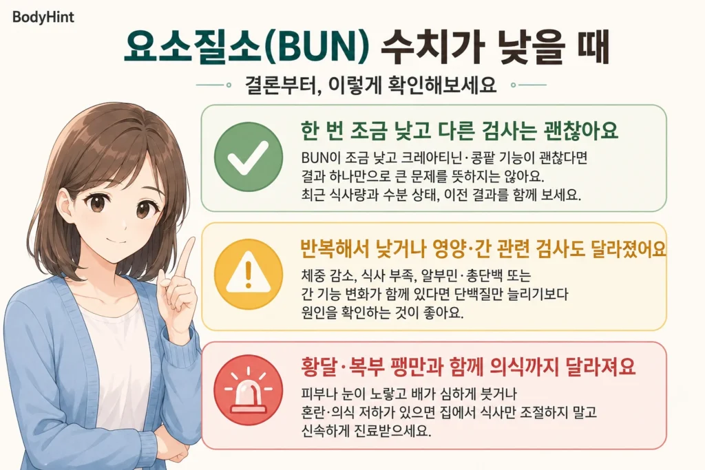 요소질소(BUN) 수치가 낮게 나왔을 때 한 번 조금 낮고 다른 검사는 괜찮은 경우, 반복해서 낮거나 영양·간 관련 검사도 달라진 경우, 황달·복부 팽만과 함께 의식 변화가 나타나는 경우를 구분한 결론부터 안내 이미지