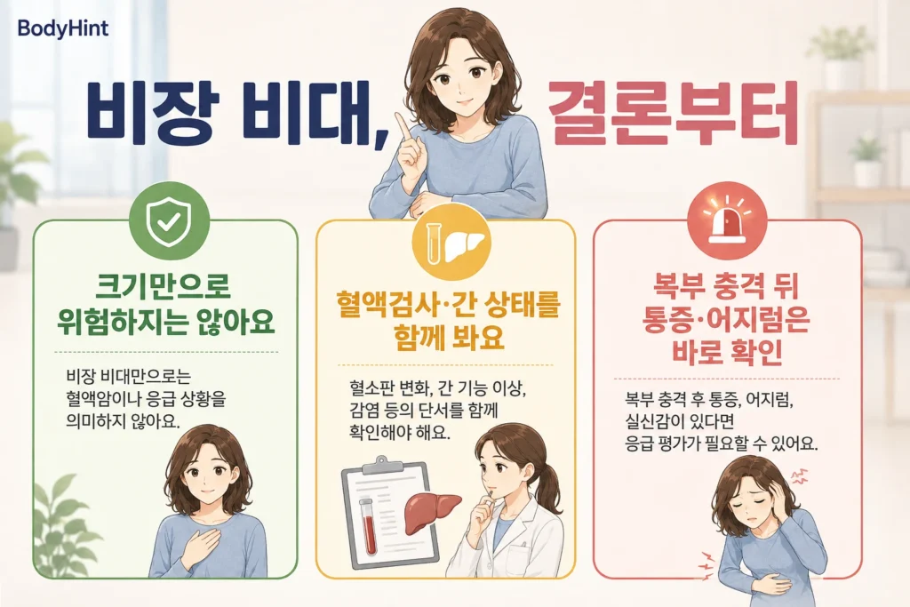 비장 비대는 크기만으로 위험하지 않으며 혈액검사와 간 상태를 함께 확인하고 복부 충격 뒤 통증과 어지럼이 있으면 바로 진료해야 한다는 BodyHint 결론 이미지