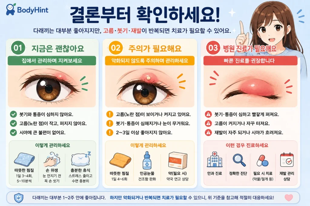 긴 갈색 머리의 20대 여성 대표캐릭터와 함께 다래끼 상태를 초록·노랑·빨강 3단계로 나눠 지켜볼 수 있는 경우, 진료를 계획할 경우, 빠르게 안과 진료가 필요한 경우를 보여주는 안내 이미지