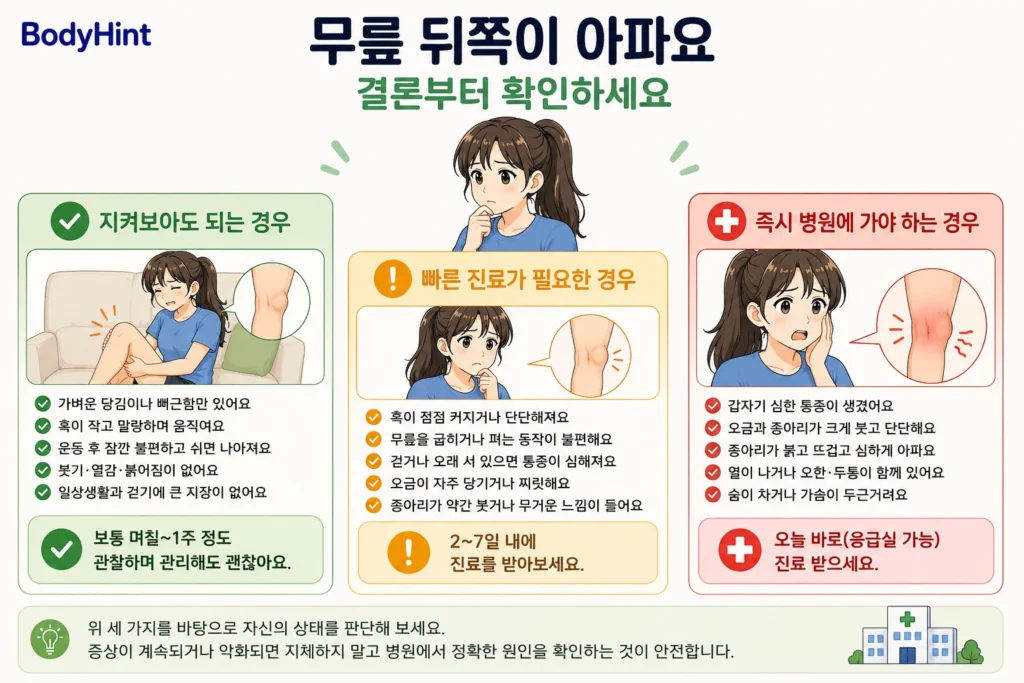 긴 갈색 머리의 20대 여성 대표캐릭터와 함께 무릎 뒤쪽 통증을 초록·노랑·빨강 3단계로 나눠 지켜볼 수 있는 경우, 빠른 진료가 필요한 경우, 즉시 병원에 가야 하는 경우를 보여주는 안내 이미지