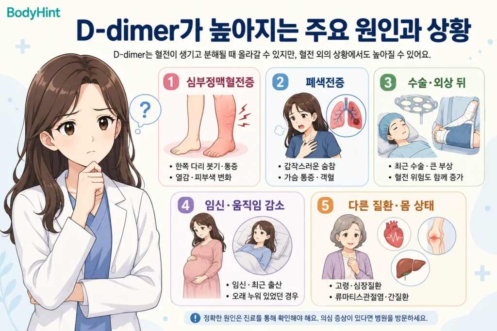 D-dimer 수치가 높아지는 주요 원인과 상황인 심부정맥혈전증, 폐색전증, 최근 수술·외상, 임신·움직임 감소, 다른 질환과 몸 상태를 대표캐릭터와 함께 정리한 안내 이미지