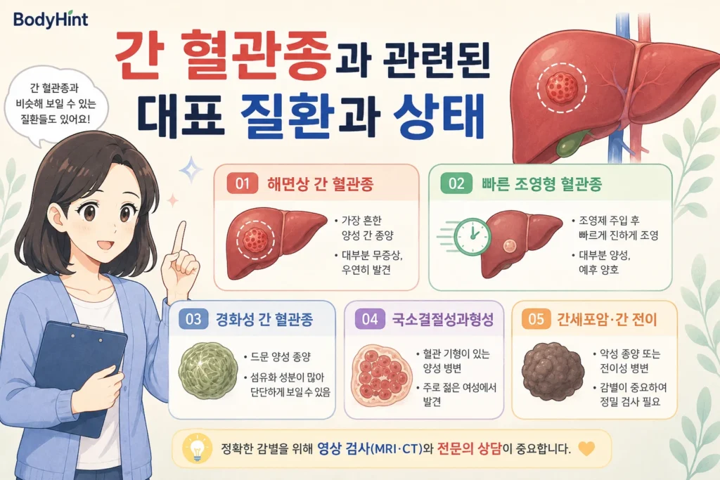 간 혈관종과 관련된 대표 질환과 상태로 해면상 혈관종, 빠른 조영형 혈관종, 경화성 혈관종, 국소결절성과형성, 간세포암과 간 전이를 설명한 BodyHint 인포그래픽