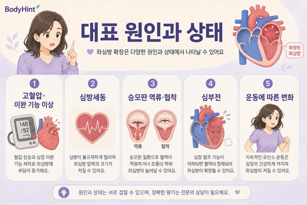 고혈압과 이완기 기능 이상, 심방세동, 승모판 역류·협착, 심부전, 운동에 따른 좌심방 확장을 정리한 이미지