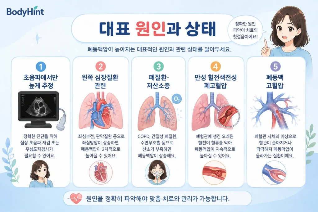 초음파에서만 높게 추정된 폐동맥압, 왼쪽 심장질환 관련 폐고혈압, 폐질환·저산소증 관련 폐고혈압, 만성 혈전색전성 폐고혈압, 폐동맥고혈압을 정리한 이미지