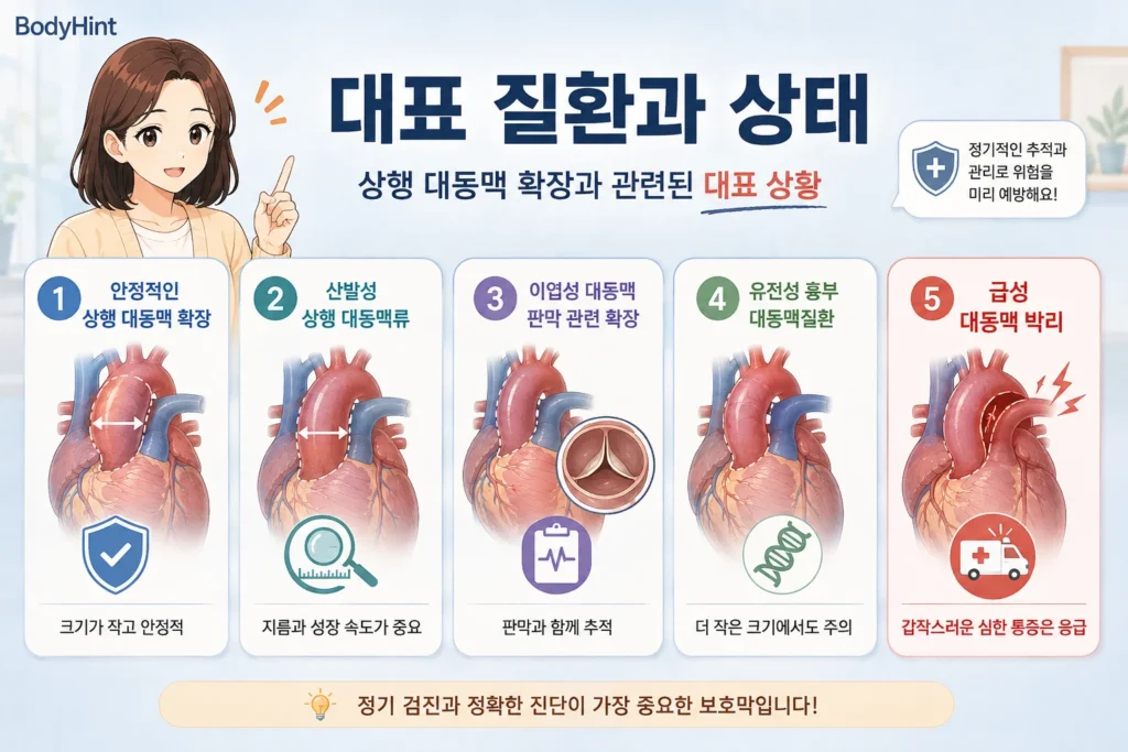 안정적인 상행 대동맥 확장, 산발성 상행 대동맥류, 이엽성 대동맥 판막 관련 확장, 유전성 흉부 대동맥질환, 급성 대동맥 박리를 정리한 이미지
