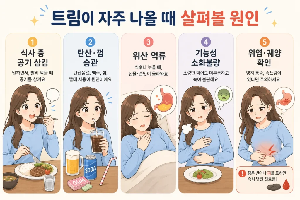 트림이 자주 날 때 식사 중 공기 삼킴, 탄산·껌 습관, 위산 역류, 기능성 소화불량, 위염·궤양 가능성을 여성 캐릭터로 설명한 이미지