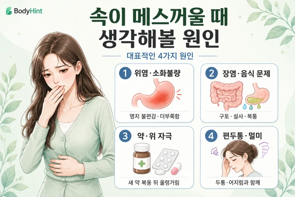 속이 메스꺼울 때 생각해볼 위염·소화불량, 장염·음식 문제, 약·위 자극, 편두통·멀미 원인을 여성 대표캐릭터와 4개 원인 카드로 보여주는 이미지