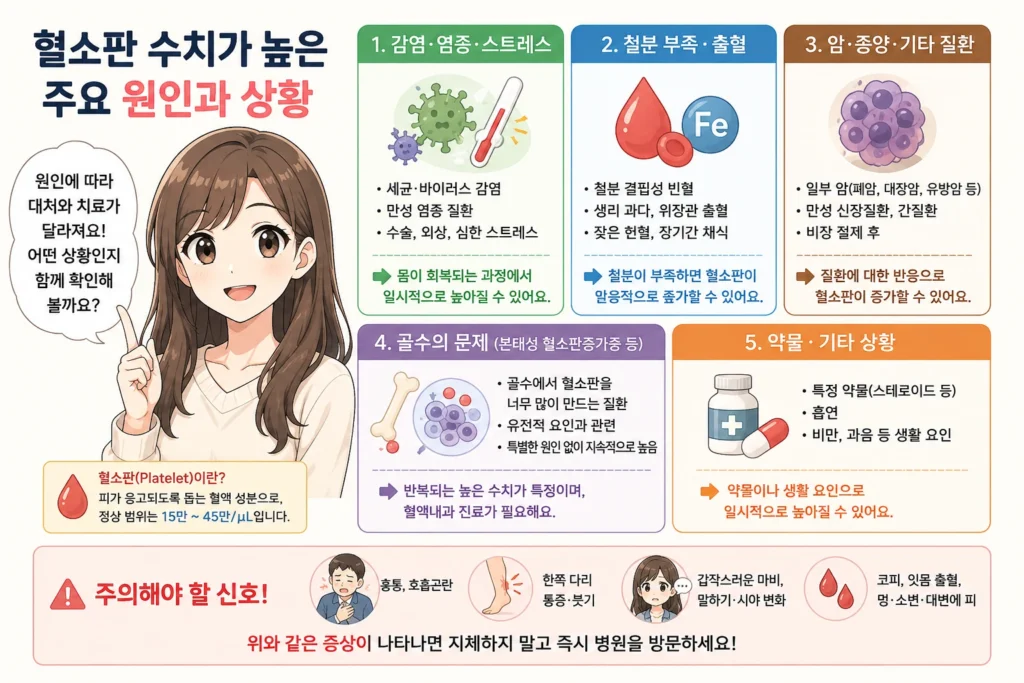 혈소판 수치가 높아지는 주요 원인으로 감염·염증·스트레스, 철분 부족·출혈, 일부 질환, 골수 문제, 약물·생활 요인을 보여주고 혈전·출혈 경고 신호를 함께 정리한 여성 인포그래픽