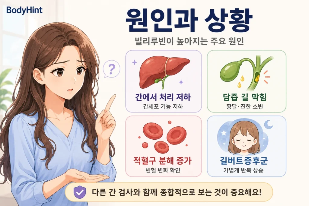 빌리루빈 수치가 높아지는 주요 원인으로 간의 빌리루빈 처리 저하, 담즙 길 막힘, 적혈구 분해 증가, 길버트증후군을 보여주는 여성 인포그래픽