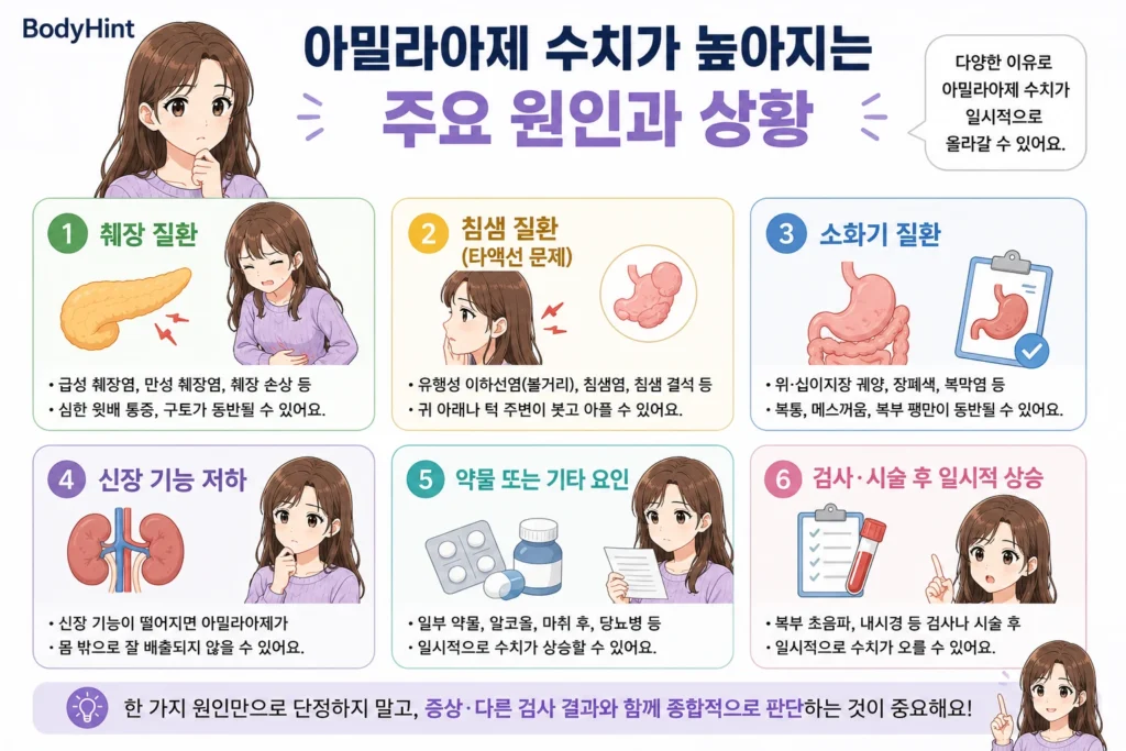 아밀라아제 수치가 높아지는 췌장 질환, 침샘 질환, 소화기 질환, 콩팥 기능 저하, 약물·기타 요인, 검사·시술 후 일시적 상승을 보라색 니트 여성 캐릭터와 함께 정리한 이미지