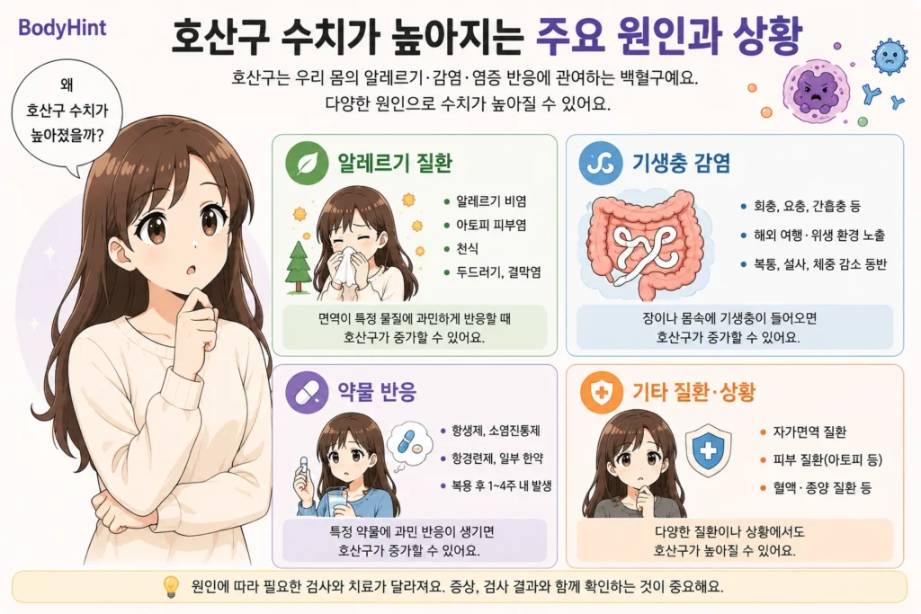 호산구 수치가 높아지는 주요 원인인 알레르기 질환, 기생충 감염, 약물 반응, 기타 질환과 상황을 대표캐릭터와 함께 정리한 안내 이미지